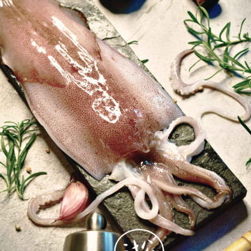 宜蘭速凍軟絲｜一口鮮甜，來自於海 常淞招牌